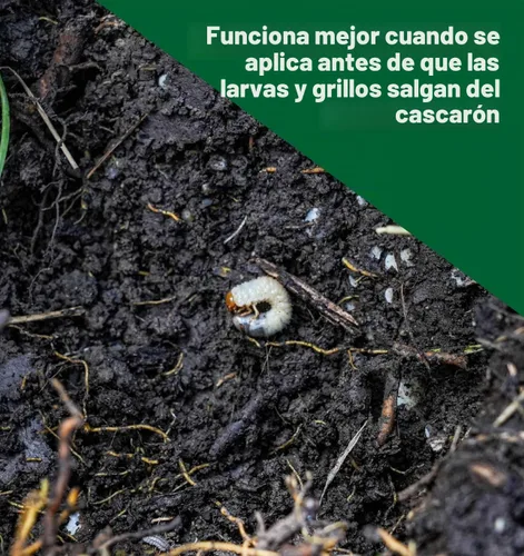 Vista 4 de The Andersons Fertilizante profesional 17-0-3 con Grubout Plus 8,500 pies cuadrados (18 libras)