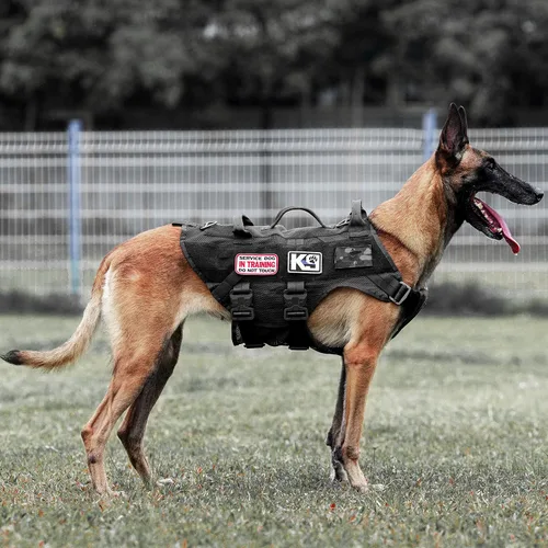 Arnés táctico para perros grandes de trabajo, chaleco militar para perros de entrenamiento de policía, arnés Molle con asa