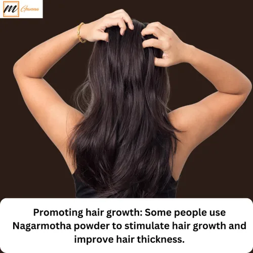 Vista 5 de Polvo 100% natural de Nagarmotha/Cyperus Rotundus para la salud y el cuidado de la piel, 0.5 libras / 227 GMS