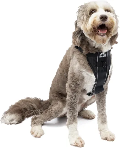 Vista 16 de Kurgo Tru-Fit - Arnés inteligente para caminar para perros, ajuste cómodo, arnés ajustable, reflectante para mascotas, liberación rápida