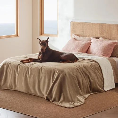 Vista 10 de Bedsure - Mantas impermeables para perros pequeños - Manta de felpa de sherpa con impresión suave lavable para perros y gatos, protector de muebles
