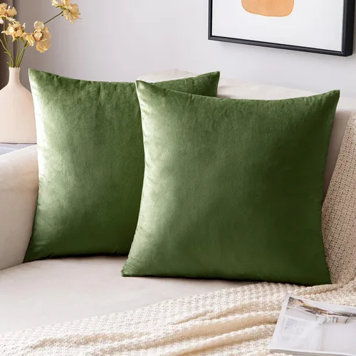 Vista 26 de EMEMA - Paquete de 2 fundas de almohada de terciopelo decorativas, fundas de cojín cuadradas suaves y sólidas para sofá, dormitorio, silla, Verde