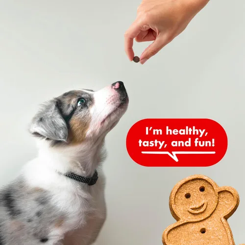 Vista 4 de Buddy Biscuits Bocadillos de entrenamiento para entrenadores, golosinas suaves y masticables para perros, sabor a carne de res, bolsa de 10 onzas