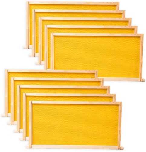 BeeCastle Paquete de 10 marcos de colmena y bases de cera para colmenas profundas de cría con panales, marcos de colmena de abejas de madera y bases