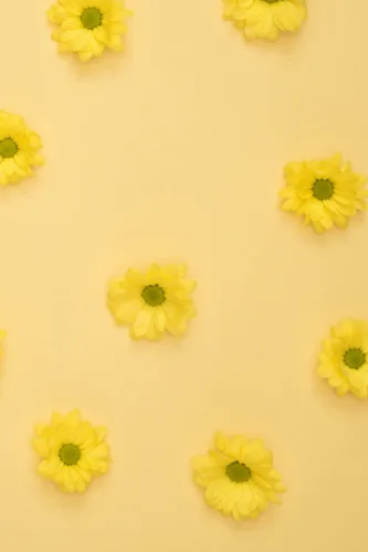 Agenda 2022-2023: planificateur hebdomadaire très utile pour vous (French Edition) Tapa blanda – 9 Octubre 2022