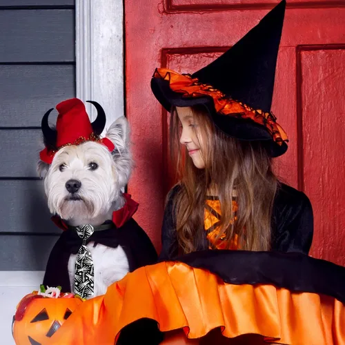 Vista 6 de Frienda 6 lazos de Halloween para perros pequeños, gatos, collares de perro de Halloween, ajustables, calavera, corbatas para mascotas, corbatas