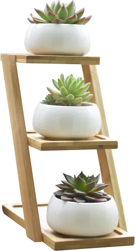 Variación 2