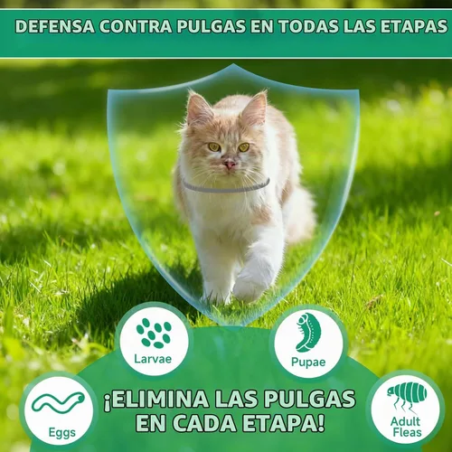 Vista 4 de Collar antipulgas para gatos, tratamiento de pulgas y garrapatas de gato