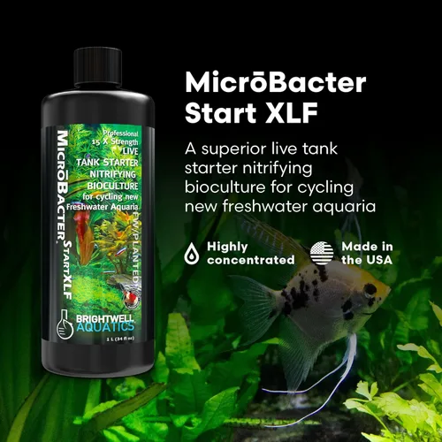 Vista 2 de Brightwell Aquatics MicroBacter Start XLF - Bacterias nitrificantes concentradas de agua dulce - Iniciador de tanque de peces de inicio rápido