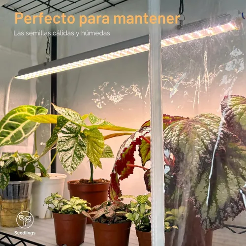 Vista 5 de Bstrip Invernadero interior de 3 niveles con luz de crecimiento
