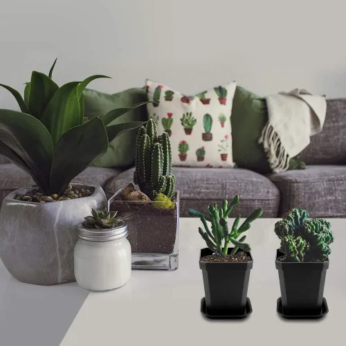 Vista 6 de foxany Maceta de vivero de 3 pulgadas, 30 macetas de plástico grueso, macetas cuadradas para plantar, macetas de plántulas, macetas de inicio