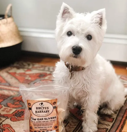 Vista 7 de BRUTUS & BARNABY Orejas de vaca para perros – Corte grueso, carne Angus alimentada con pasto, alternativa totalmente natural sin cuero crudo