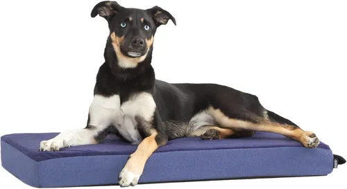 Vista 14 de Barkbox Cama ortopédica para perros Cómodo colchón de espuma viscoelástica para alivio de las articulaciones Soporte de cabeza y cuello Espresso