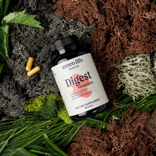 Vista 2 de Ameo Life Probiótico para la salud digestiva e intestinal – Bacillus Subtilis & Bacillus coagulans con aloe vera, cúrcuma, psyllium, olmo