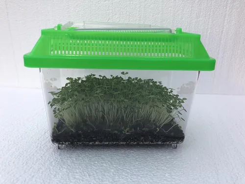 Vista 4 de Roly Poly Farm VivariumTerrarium de Pocket Pets (colores surtidos) (pequeño con capacidad para hasta 250 roles)