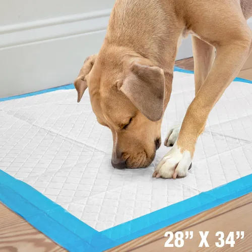 Vista 7 de Four Paws Wee-Wee Almohadillas de rendimiento superior para perros con protección de borde de barrera contra derrames, almohadillas de entrenamiento