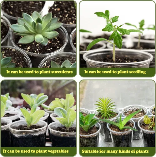 Vista 7 de RAOOKIF Paquete de 25 macetas transparentes de 5 pulgadas con agujeros de drenaje, macetas de plástico flexible para plantas, maceta de jardín