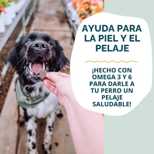 Vista 4 de Shameless Pets Golosinas suaves para perros, plátanos para tocino, masticables naturales y saludables para el apoyo de la piel y el pelaje con Omega