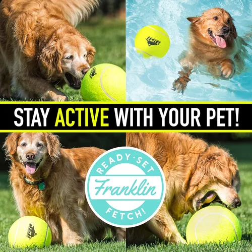 Vista 7 de Franklin Pet Supply Co. - Pelota de tenis para perros de gran tamaño, 8.5 pulgadas, bomba incluida