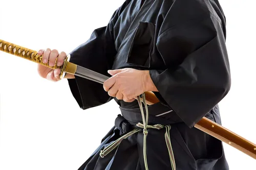 Vista 6 de Espada katana samurái japonesa de flor de ciruelo, forjada a mano, hoja de Damasco de acero al carbono 1045, arcilla, espiga completa, afilada