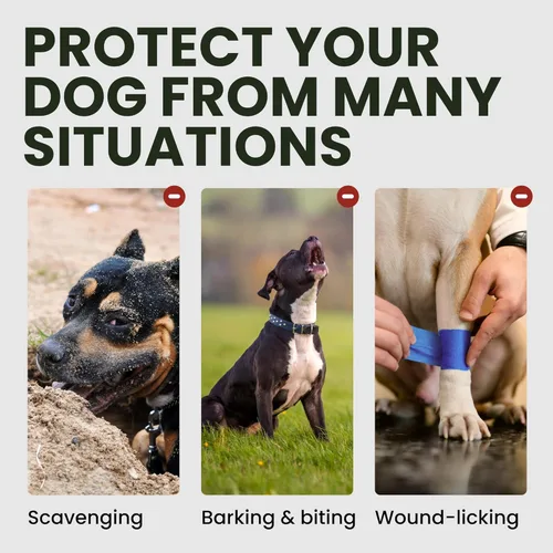 Vista 6 de BRONZEDOG Bozal para perro Pitbull transpirable de metal con cesta para perros grandes Amstaff Staffordshire Terrier para morder, masticar y ladrar