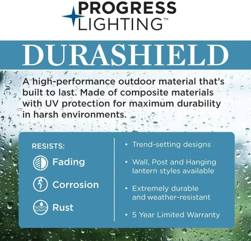 Vista 11 de Progress Lighting Marquette Collection - Farol tradicional de pared mediana para exteriores, cristal transparente, con textura de color negro