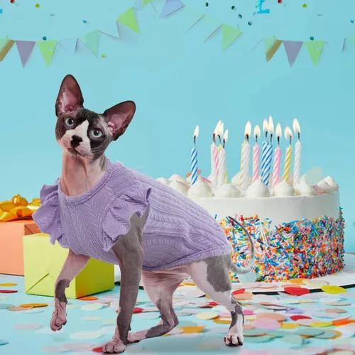 Vista 15 de DENTRUN Sphynx - Camisa de gatos sin pelo, ropa de gatito con lindas mangas con volados, transpirable, para gato, suéter, overol de traje de Sphynx