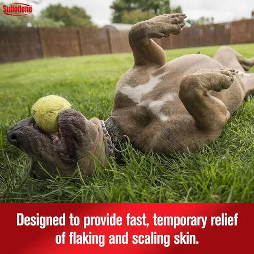 Vista 4 de Farnam Sulfodene Champú y acondicionador medicado para perros 12oz, blanco