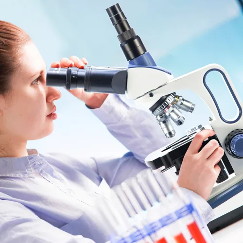 Vista 7 de Swift Microscopio trinocular compuesto SW350T, aumento 40X-2500X, cabeza de Siedentopf, etapa mecánica de dos capas, con cámara Swiftcam de 5