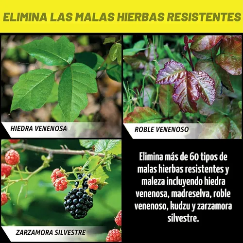 Vista 5 de Ortho GroundClear - Hiedra venenosa y cepillo resistente Killer3, 1 galón.