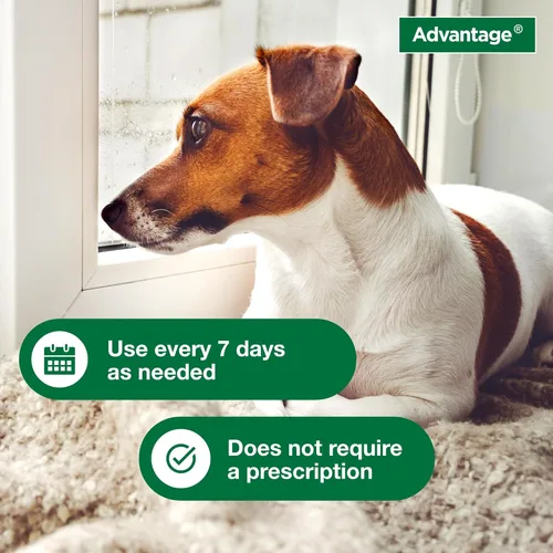 Vista 4 de Advantage Champú para pulgas y garrapatas para perros y perros adultos Mata pulgas y garrapatas 24 onzas