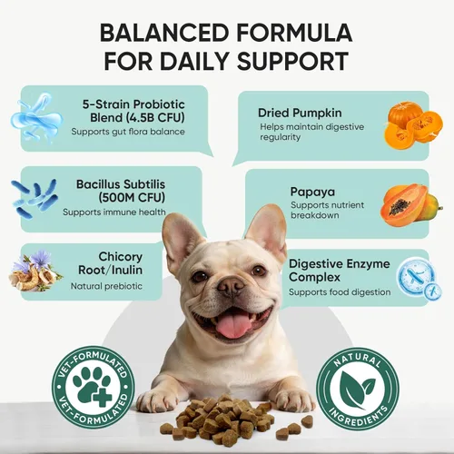 Vista 3 de Probióticos para perros Salud digestiva intestinal Masticables probióticos para perros Enzimas digestivas Alivian la diarrea Inmunidad Problemas