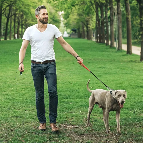 Vista 7 de Correa de perro resistente, correa de metal a prueba de mordidas para perros grandes (hasta 250 libras), correas de perro de cuerda de alambre de 5
