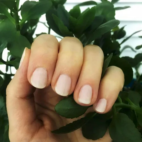 Vista 4 de Dazzle Dry Mini Kit Sistema de 4 Pasos - Cuarzo Rosa, una flor de melocotón claro con rubor rosa. Crema Semisheer (Kit de 5 Piezas/5 Manicuras)