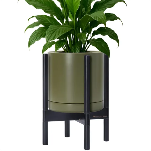 Vista 107 de D'vine Dev Maceta de cerámica con soporte de ébano – Maceta redonda moderna de 8 pulgadas con soporte para maceta de madera, color negro, 55-B-M-2