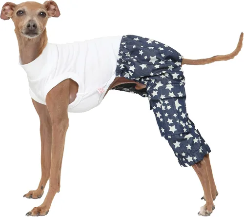 Vista 35 de D Doggy Star - Ropa de galgos italianos, enterizo elástico de neón para primavera y verano (talla S, naranja Onsi)