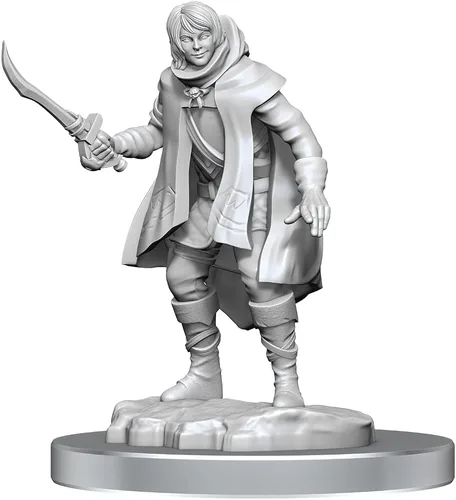 Vista 3 de WizKids D&D Nolzur's Marvelous Miniatures: Elf Rogue & Half-Elf Rogue Protégé