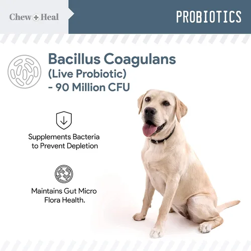 Vista 7 de Enzimas digestivas y probióticos y soporte para las infecciones urinarias de arándano para perros - Apoya el tracto digestivo saludable, ayuda a