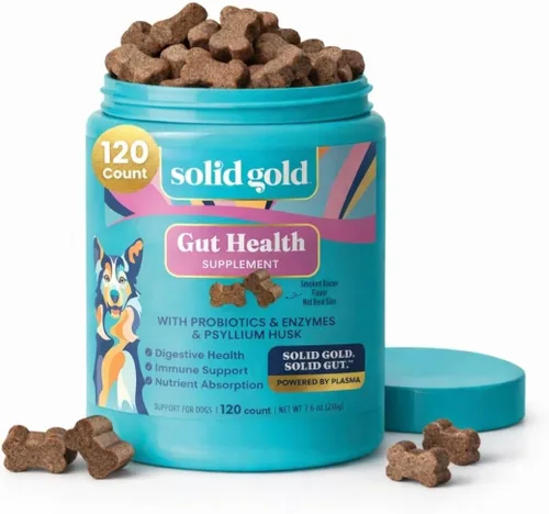 Solid Gold Probióticos para perros para la salud digestiva, probióticos para perros con fibra y enzimas digestivas para apoyo intestinal y salud