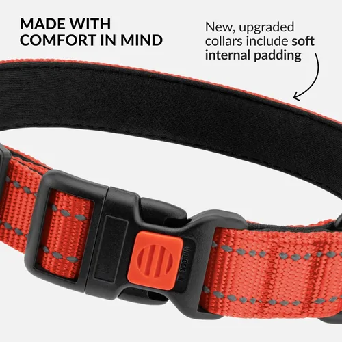 Vista 37 de CollarDirect Reflective Dog Collar for a Small, Medium, Large Dog or Puppy with a Quick Release Buckle - Boy and Girl - Nylon Suitable for Swimming