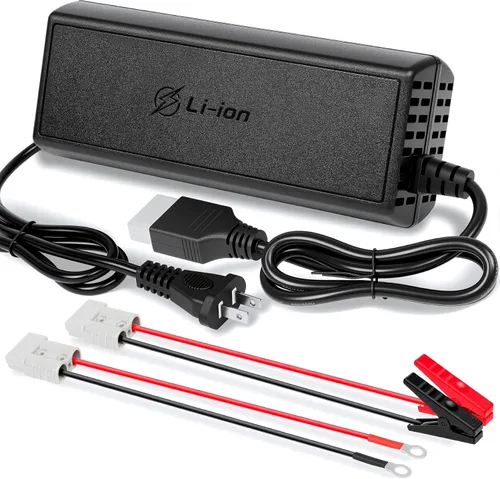 Vista 11 de Cargador de batería automático de 20 A, 12 V/24 V, corriente ajustable, 0.5A-20A, LiFePO4, mantenedor de batería completamente automático, cargador