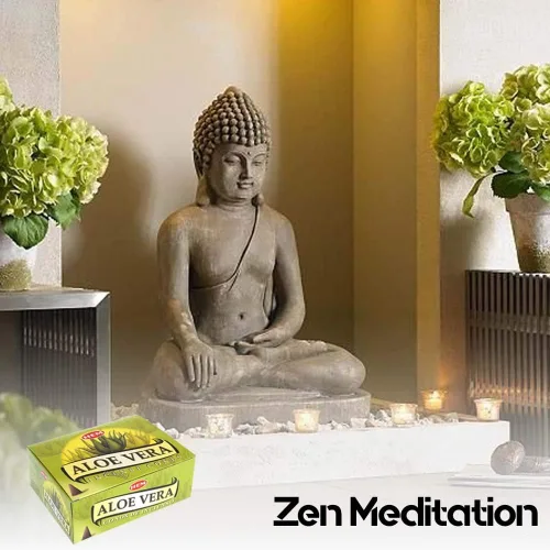 Vista 5 de Aloe Vera - Caja de 12 cajas, 10 conos cada una - Incienso HEM de la India