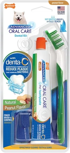 Vista 10 de Nylabone Advanced Oral Care - Kit dental para perros mayores con cepillo de dientes de cerdas suaves y acolchadas, 3