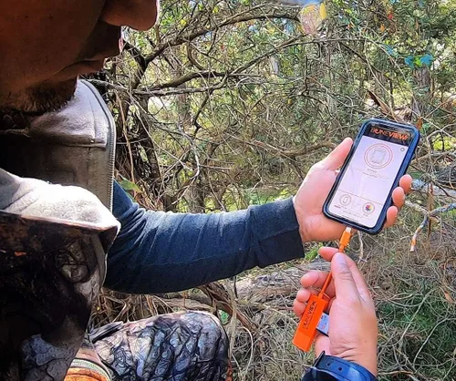 Vista 7 de Visor de cámara Trail para iPhone, lector de tarjetas de memoria SD con cable reproduce video y foto en todos los últimos modelos de Apple iOS iPad