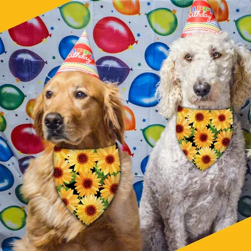 Vista 5 de Pañuelo de girasol con hojas para perro, bufanda lavable para mascotas, pañuelo ajustable triangular, estampado de doble cara, negro, girasol