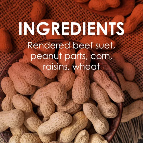 Vista 7 de Heath Outdoor Products DD-12 Pastel de sebo con cacahuetes y pasas, 11.5 oz, caja de 12 unidades, marrón