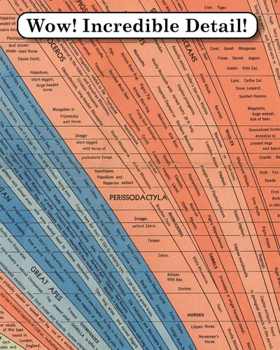 Vista 2 de Histomap of Evolution, póster de investigación científica, mapa de historia, genética, geología, póster para aula, 18 x 48 pulgadas, extra grande