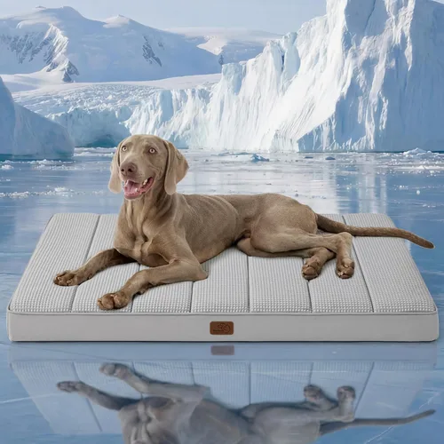 Vista 43 de Bedsure Camas para Perros Pequeños – Camas Planas XS Cómodas para Cachorros con Funda Extraíble Lavable, Colchoneta de Espuma Ortopédica Tipo Cartón