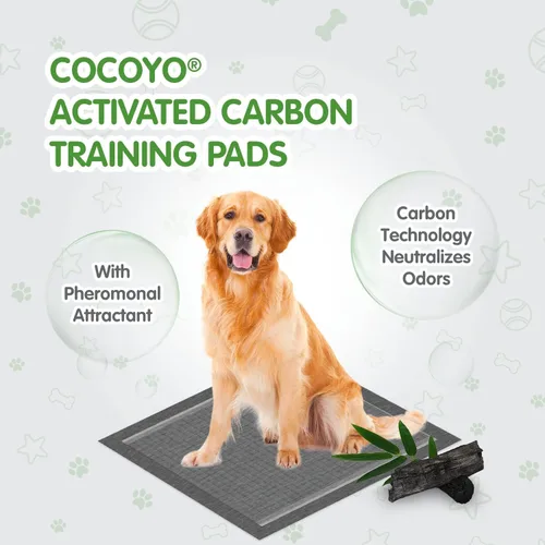 Vista 3 de COCOYO Almohadillas de entrenamiento de mejor valor, 34 x 28 pulgadas de largo, 40