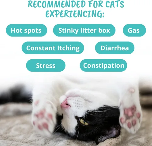 Vista 5 de Under The Weather Masticables probióticos para mascotas para gatos Promueve la digestión normal, equilibra la salud intestinal saludable 60